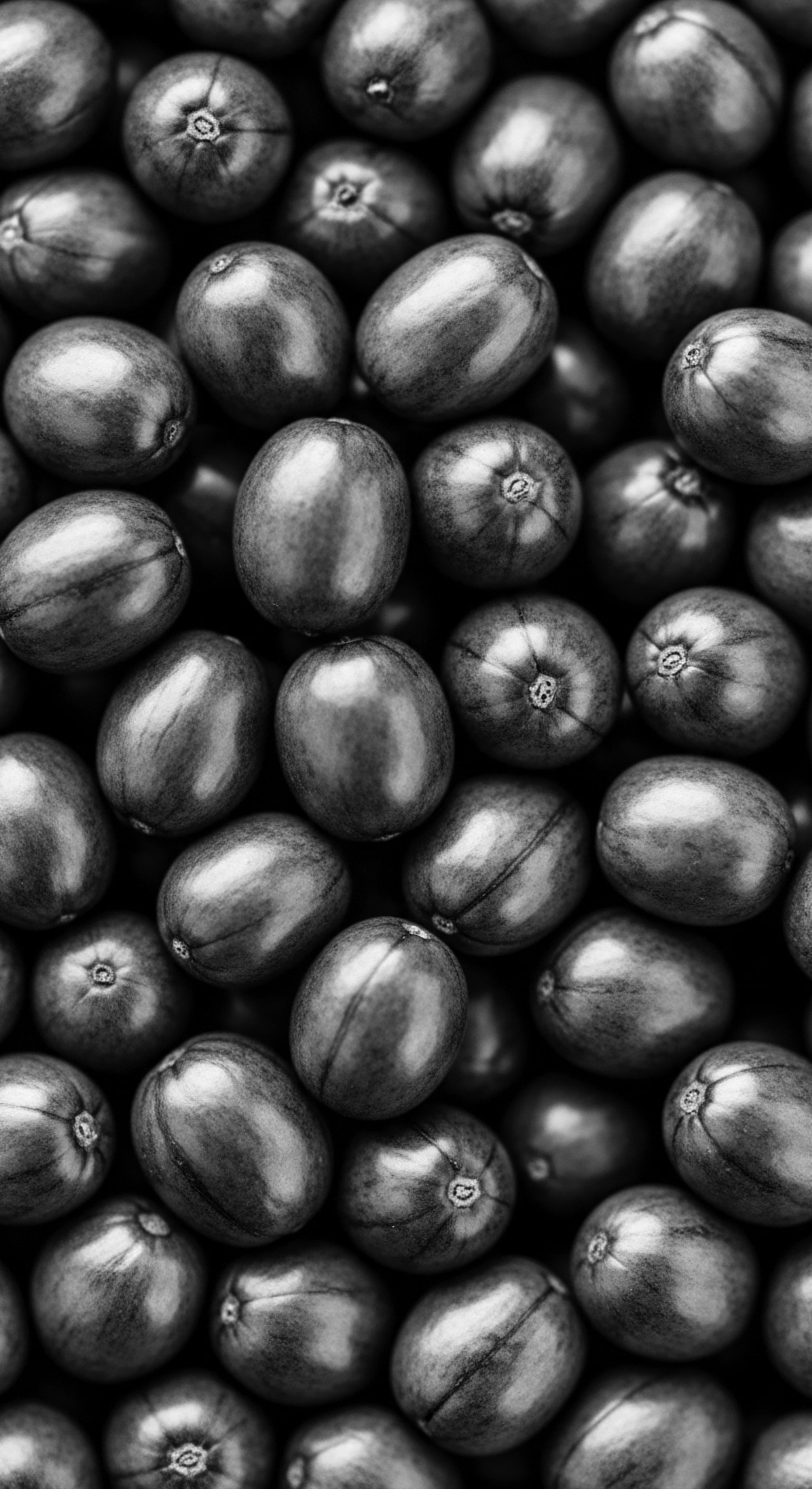 Monochromatic seeds, arranged in a dense, textural landscape, evoke ideas of ancestral heritage, the visual emphasizing the power of natural ingredients. This study is inspired by ancestral beauty practices and holistic hair care.