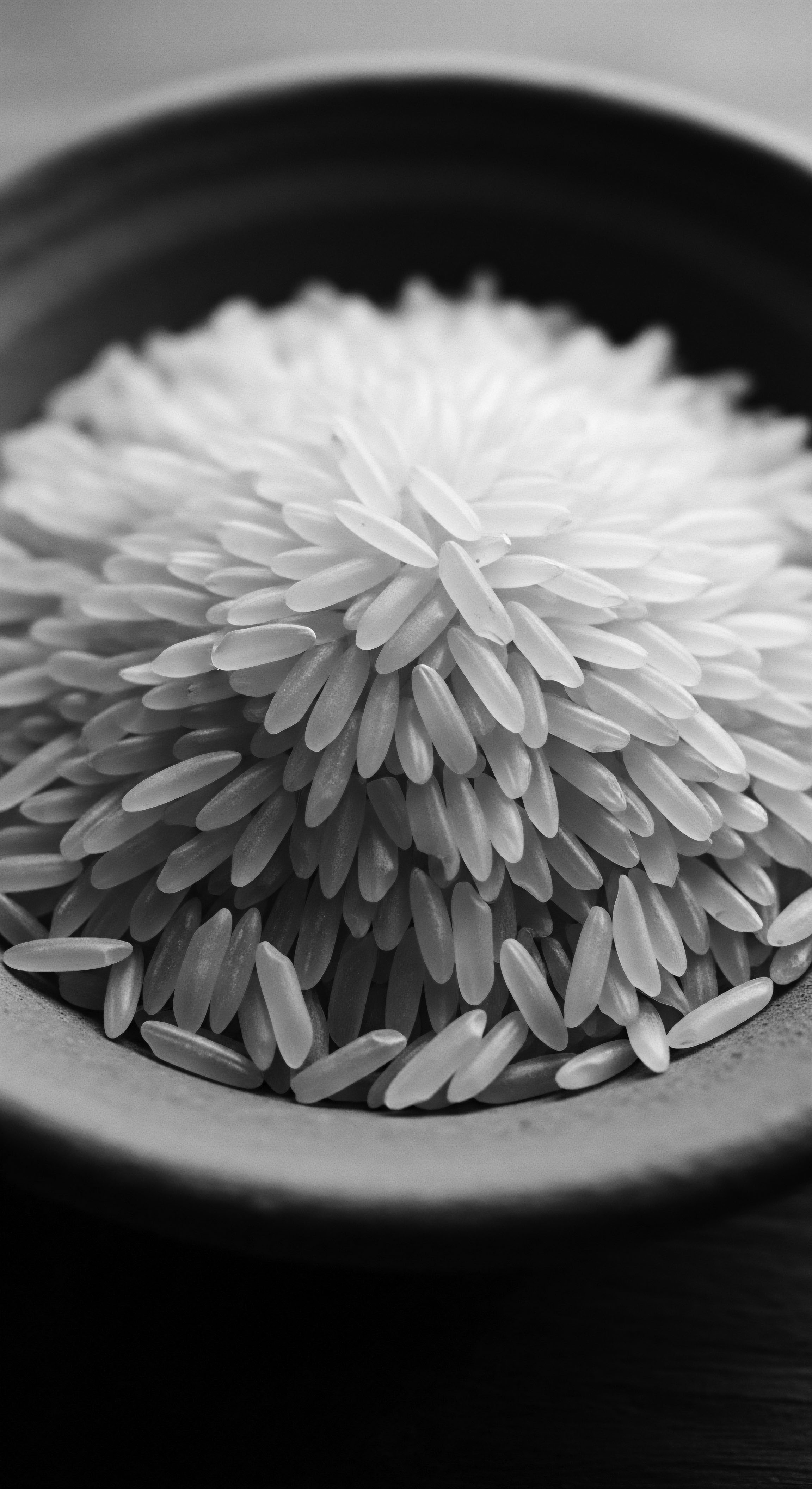 Basmati Rice Grains Textural Portrait Symbolizing Purity and Textured Hair Essence This textural display of rice, a staple ingredient, invokes notions of purity, mirroring the search for natural and authentic ingredients suitable for the health and vitality of textured hair, honoring ancestral practices and nurturing holistic well-being for future generations.
