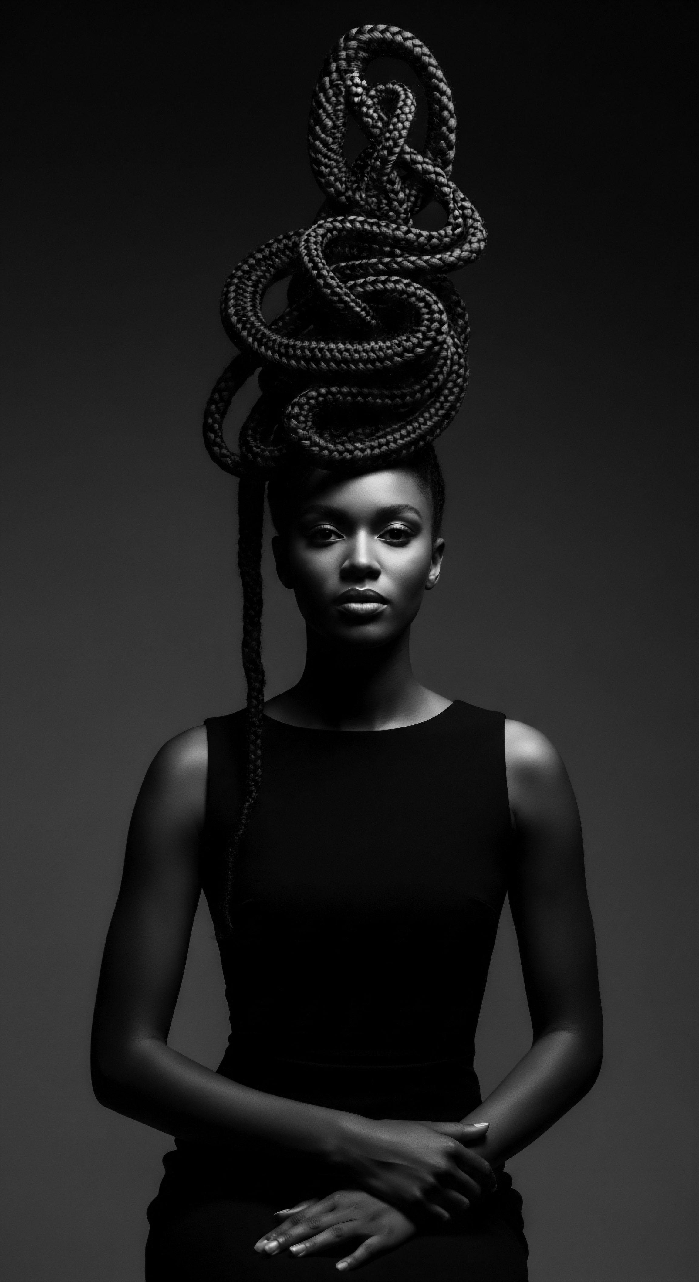 This arresting image celebrates the richness and versatility of textured hair through the elaborate braided crown. The interplay of light and shadow highlights the intricate formations, reflecting a narrative of cultural heritage, expressive styling, and the enduring beauty of Black hair traditions in this stunning visual exploration.