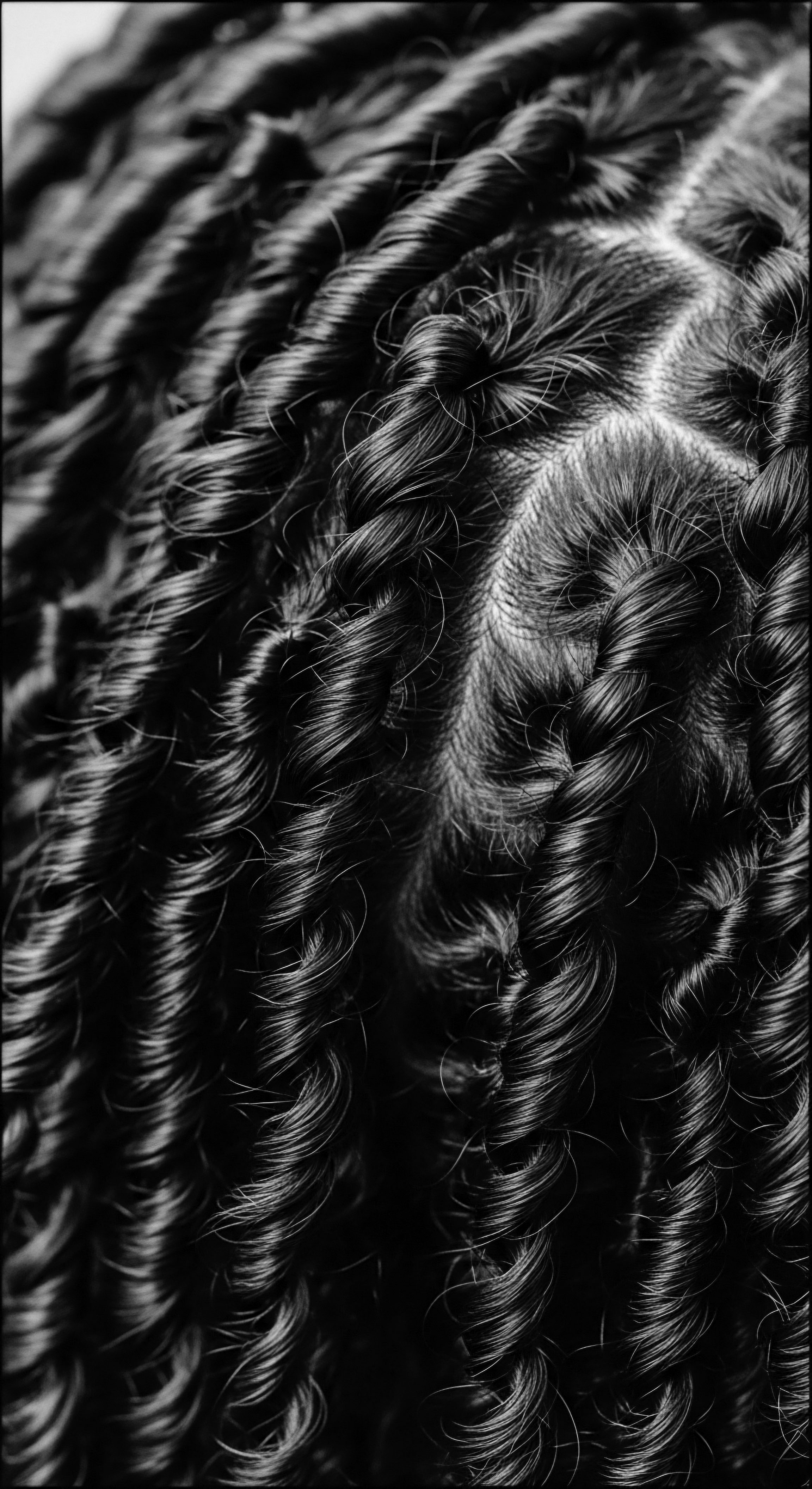 Detailed Black and White Cornrow Hairstyles: Intricate Braided Textured Hair Design Intricate cornrows converge, unveiling the geometric precision of heritage hairstyles and the artistry of Black hair traditions. Each braided row symbolizes protective styling, while the interplay of light emphasizes the smooth scalp and ancestral connection, reflecting a holistic approach to hair care.