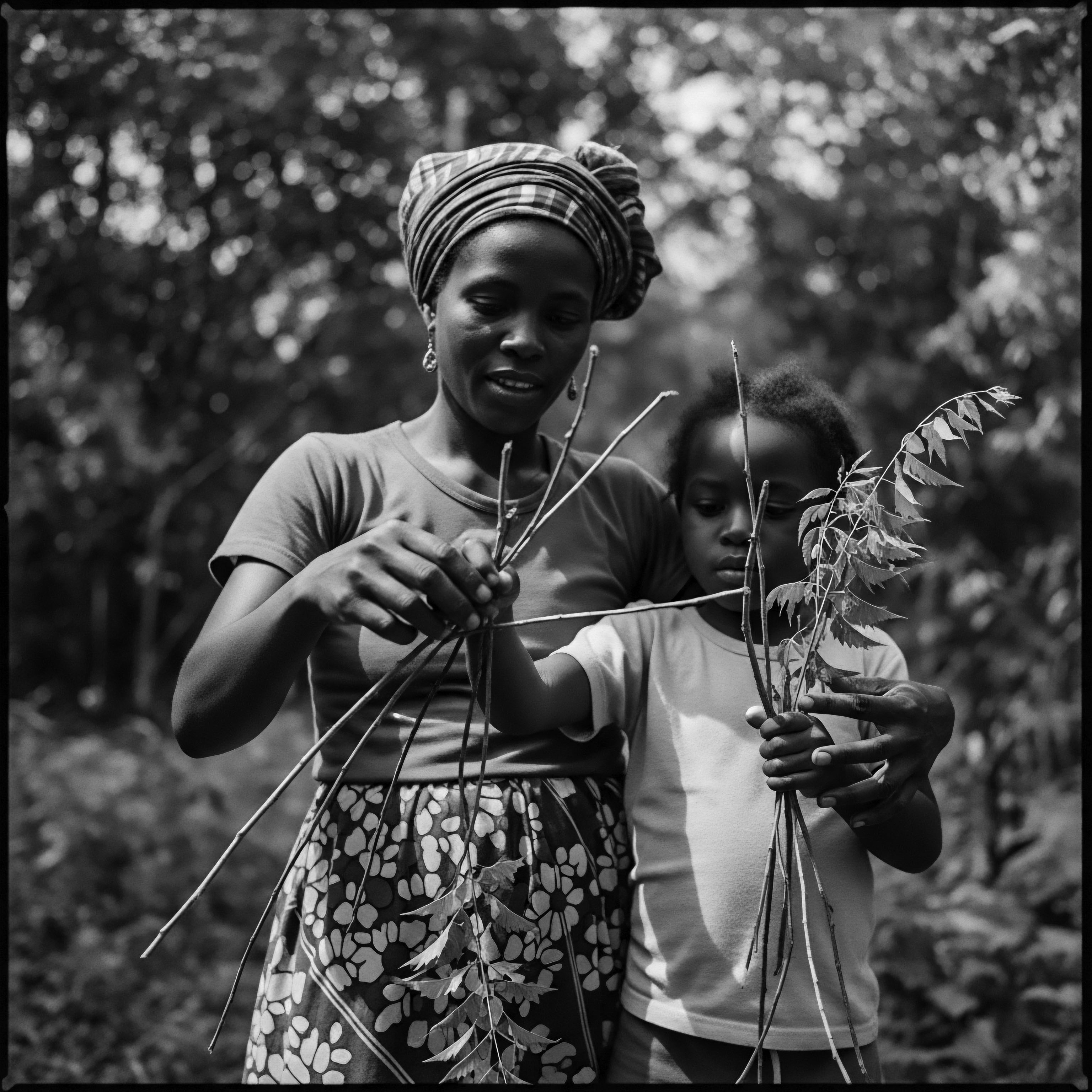 Generational Wisdom Mother and Child Holding Branches Textured Hair Heritage The photo represents a moment of shared ancestral wisdom, where a mother guides her child in understanding the connection to nature and cultural heritage. This highlights traditional practices that incorporate natural elements. Expressive styling and holistic hair care are integral to this transmission.