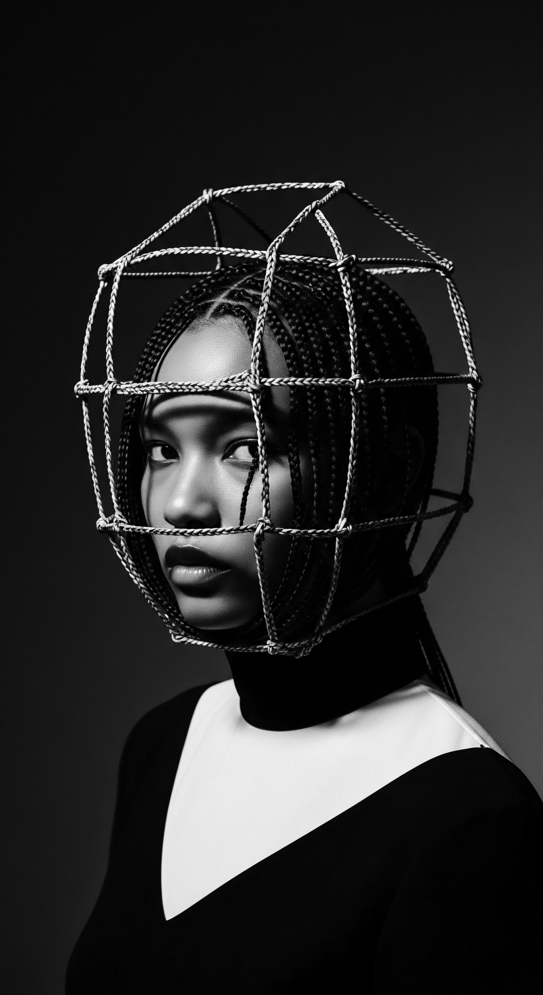 Monochromatic Portrait of a Woman With Braided Hair and Wire Sculpture This monochromatic artwork elegantly juxtaposes the softness of braided hair texture with the rigid wire sculpture, creating a powerful image that speaks to both the constraints and the artistic potential within cultural expressions of heritage. The play of light and shadow emphasizes the textures and underlying narratives of identity.