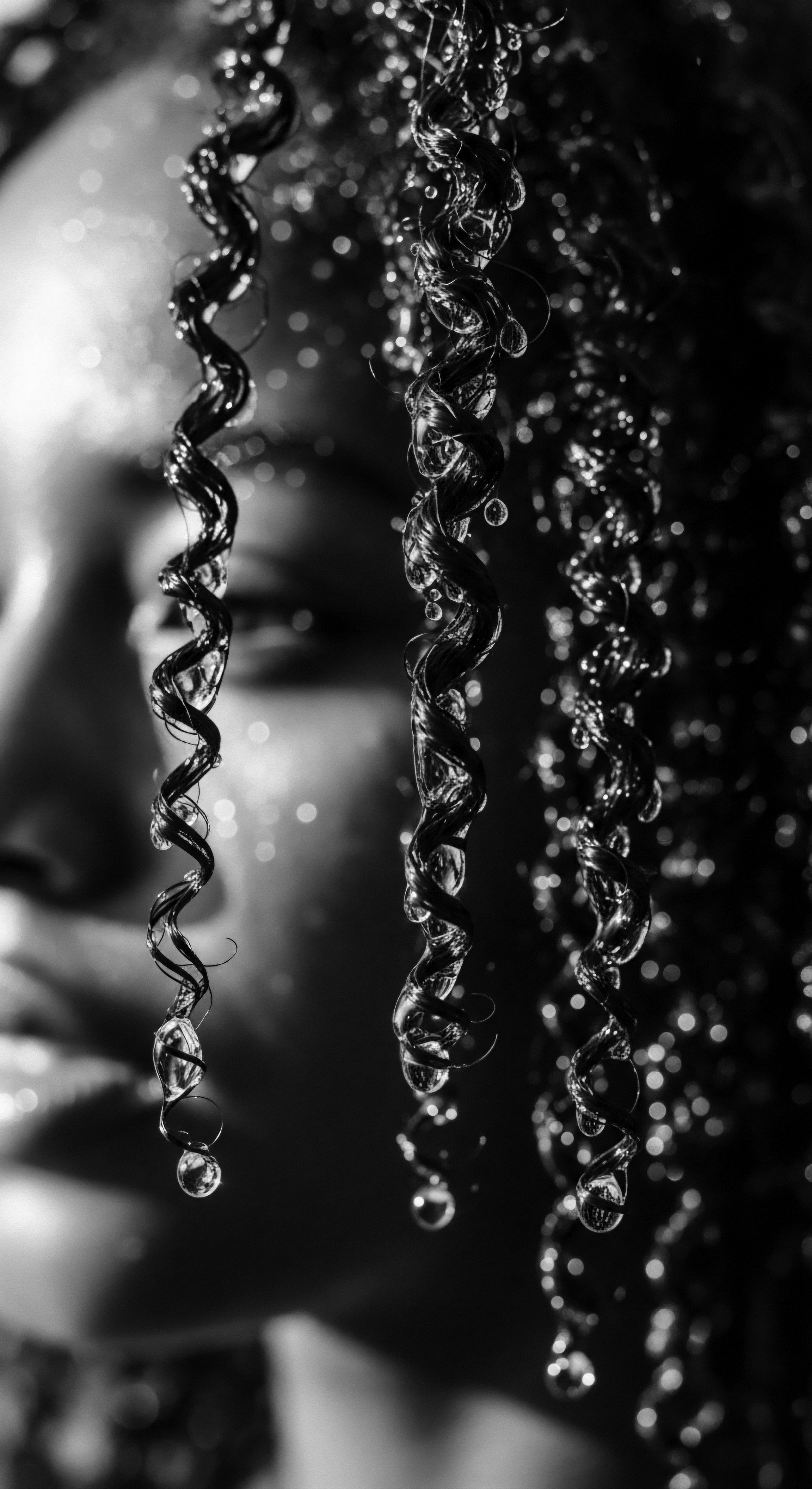 The image elegantly portrays the natural formation of textured hair enhanced by water droplets, emphasizing the unique helix patterns reflecting themes of identity and ancestral connection. This evokes considerations of wellness and traditions through the celebration of natural textures and coiled forms.