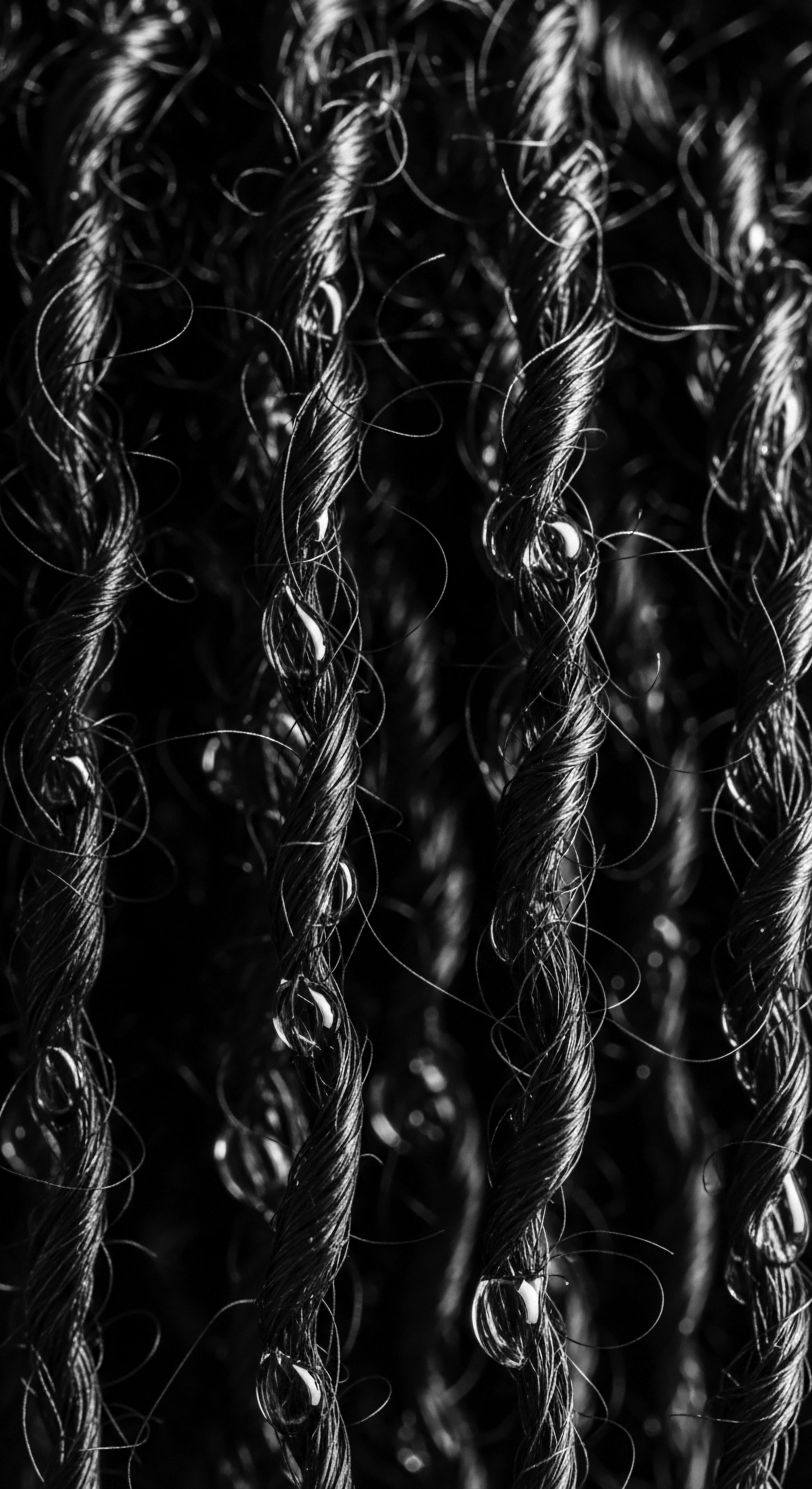 Monochrome Resilience Textured Hair Helix Water Droplets Illuminating Deep Heritage Monochrome resilience shines through helical textured hair, each strand adorned with droplets, reflecting heritage and cultural traditions. The precise styling embodies both ancestral strength and modern expression, deeply weaving narrative of identity with natural beauty and holistic care, celebrating the power of textured hair.