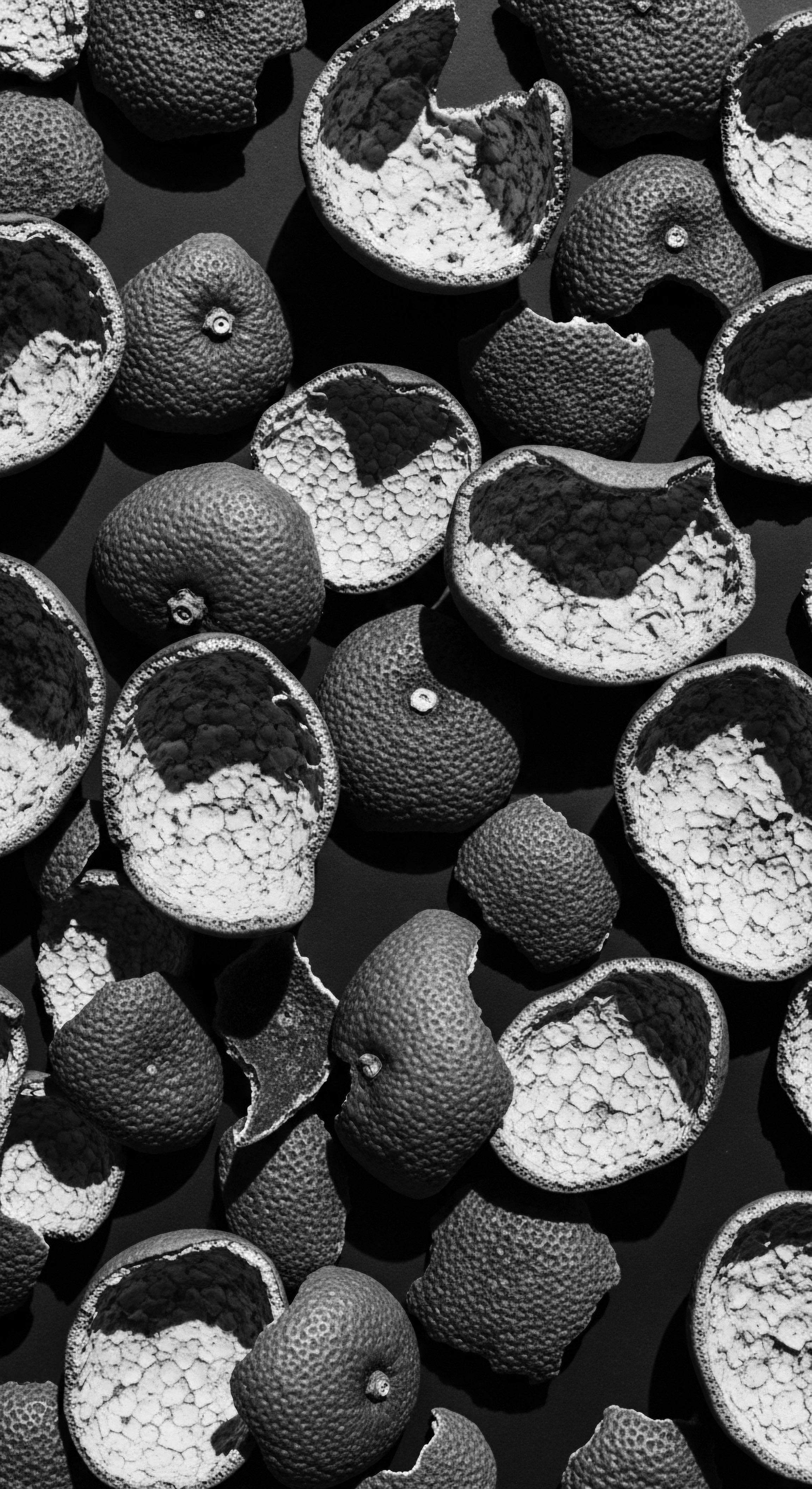 Monochrome Still Life of Citrus Skins for Textured Hair Care Ingredients This monochrome still life of citrus remnants suggests the ancestral wisdom in utilizing natural extracts for textured hair. The photograph highlights the potential for holistic, botanical-based formulations to nurture hair's unique coil pattern, connecting wellness traditions with effective hair care practices.