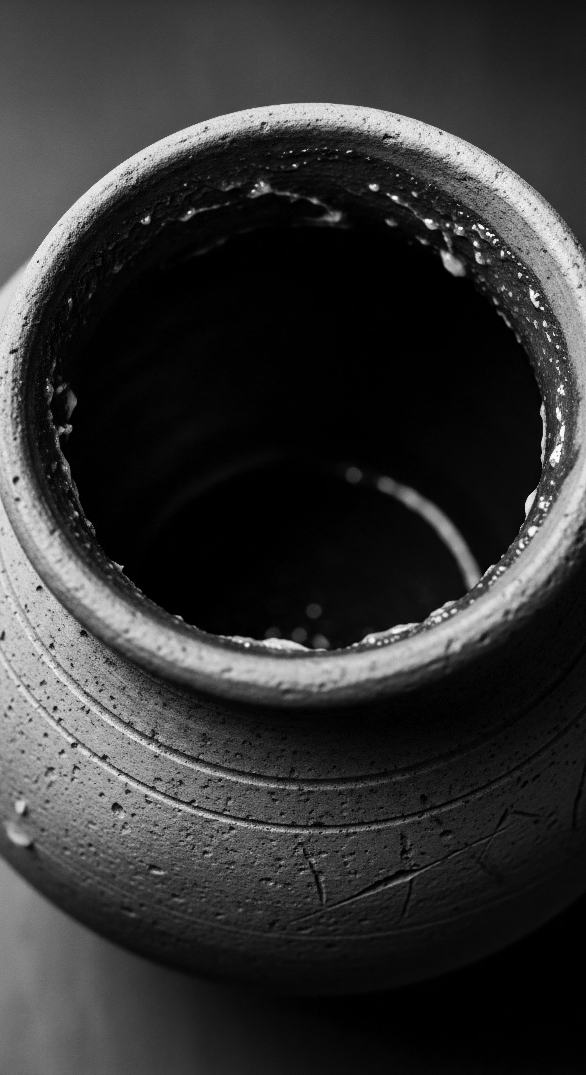 Monochrome Still Life of Heritage Pot Symbolizing Ancestral Hair Wellness The dark interior of the pot invites reflection on unrevealed ancestral hair secrets and wellness wisdom, while the textured exterior evokes resilience, suggesting a repository of holistic knowledge and hair rituals passed down through generations, vital to nurturing hair's natural texture.