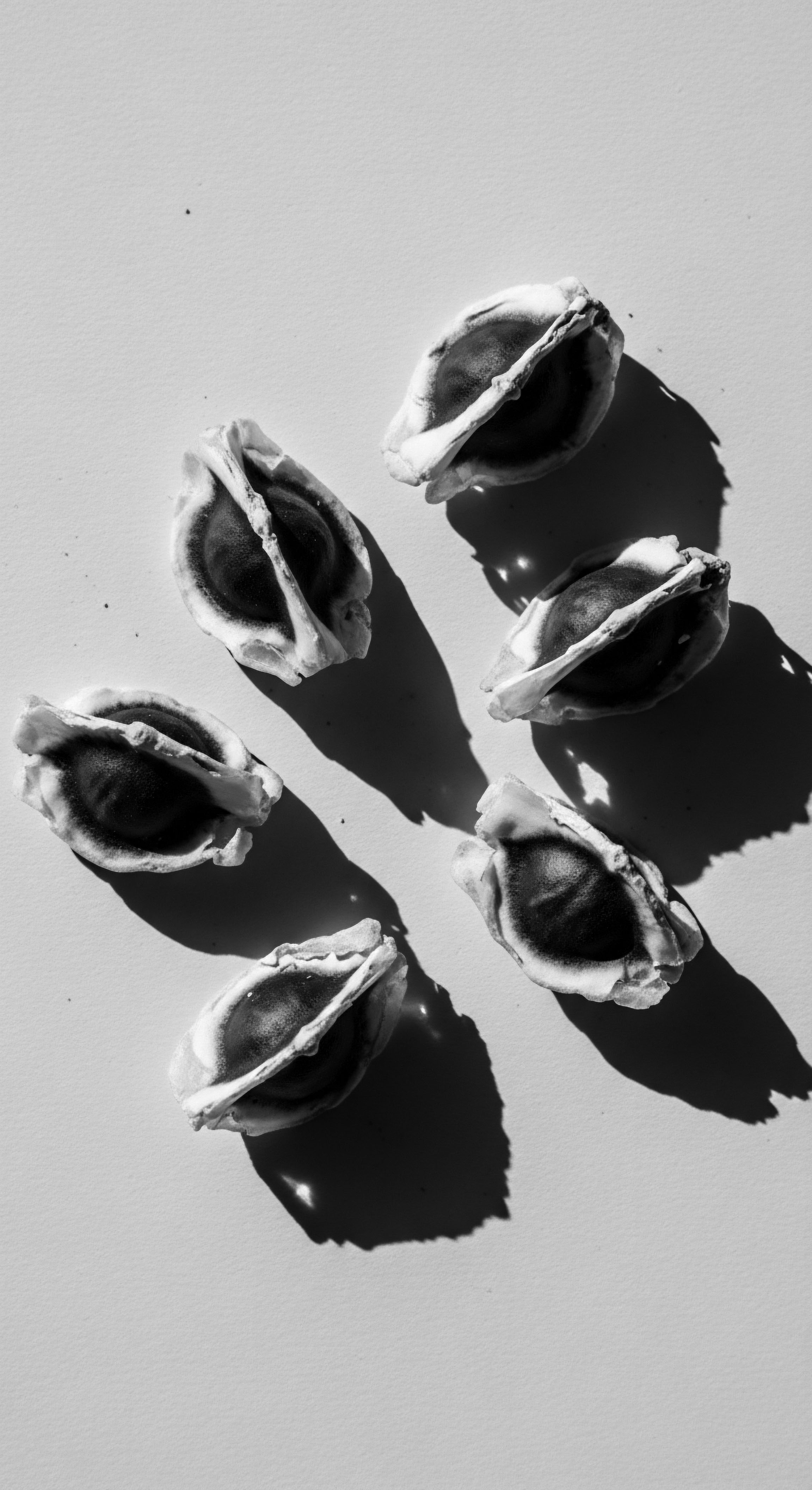 Moringa Seeds Holistic Hair Care Ingredient in Black and White Detail Moringa seeds, captured in stark monochrome, symbolize a connection to ancient beauty rituals and the revitalization of holistic hair care for diverse textured hair. These seeds embody a legacy where tradition and natural ingredients converged, enriching well-being through mindful hair care practices and ancestral heritage.
