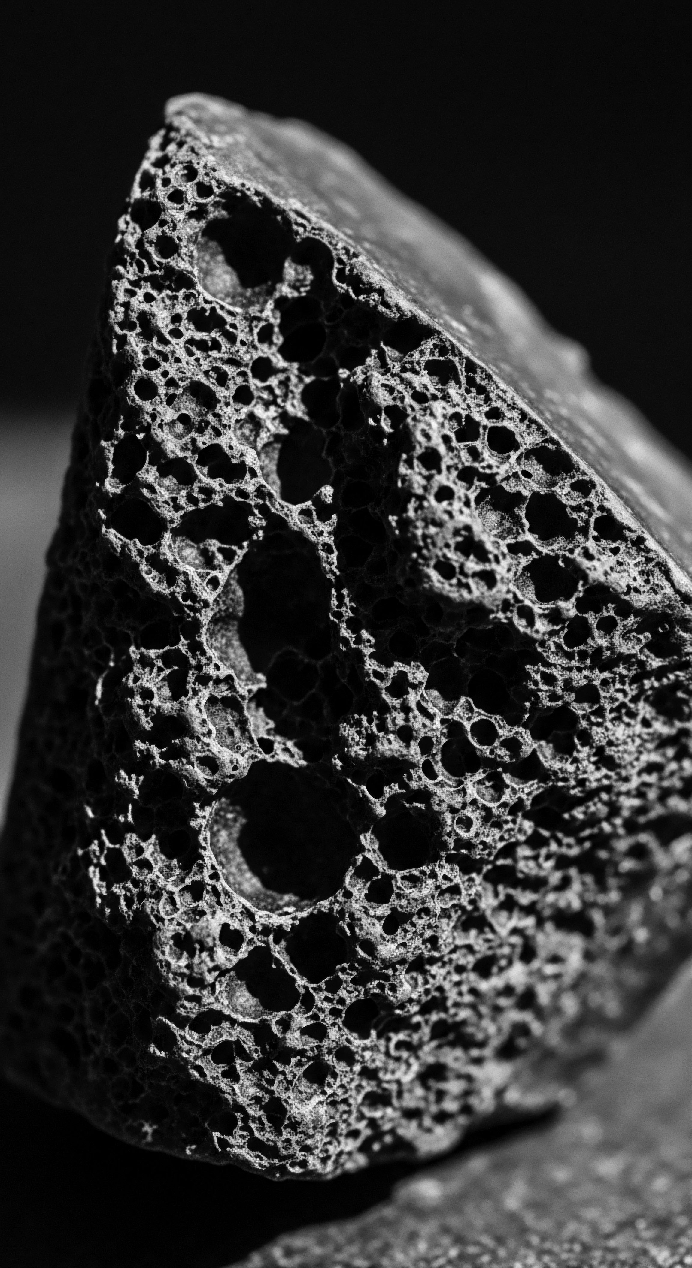 Porous Rock Texture Macro Black and White Natural Volcanic Formation This compelling macro view mirrors the varying porosities in textured hair formations, an artistic illustration serving as a visual analogy for understanding how essential moisture penetration and retention are for healthy hair care rooted in knowledge of ancestral practices.