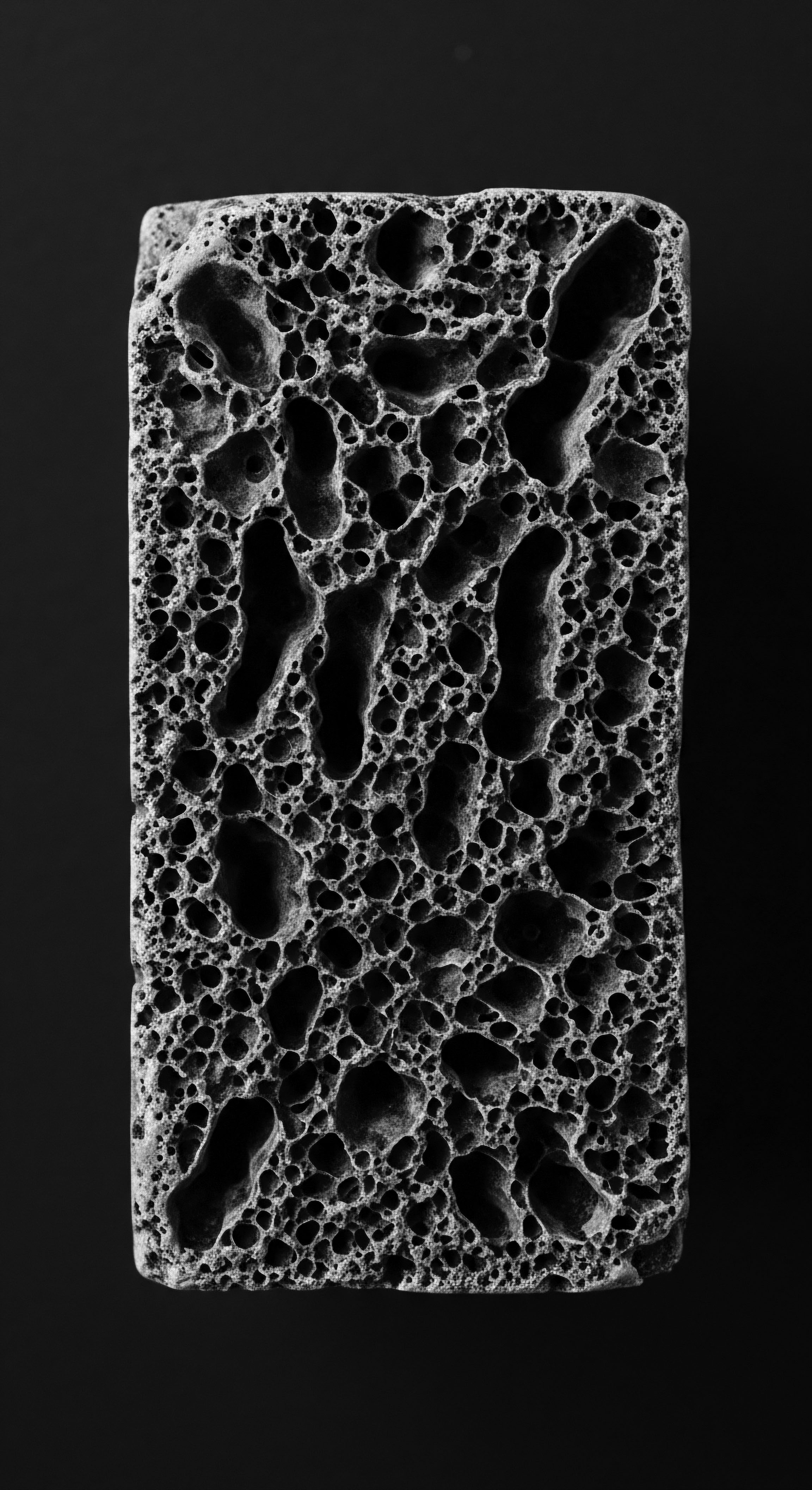 Pumice Stone Texture Close Up for Porosity Comparison in Hair The pumice stone's porous structure, revealed in detailed grayscale, mirrors the challenges and opportunities within textured hair care. Understanding porosity unlocks ancestral heritage knowledge, allowing for targeted product selection and holistic strategies that nurture diverse coil patterns and maintain optimal hair wellness.