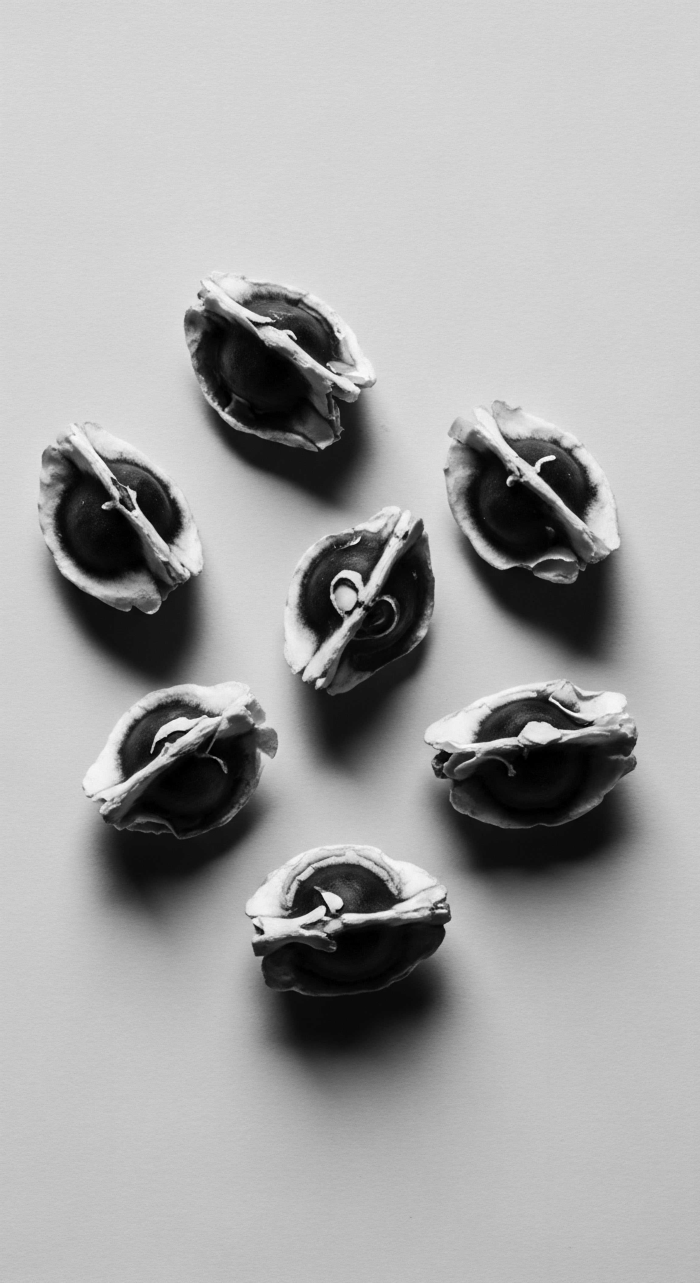 Seven Moringa Seeds Displaying Seed Structures and Potential Hair Care Uses Seven moringa seeds are showcased, their internal complexities highlighted, suggesting powerful natural elements for enriching textured hair formulations and routines. This composition symbolizes holistic wellness and reflects ancestral heritage's influence on contemporary hair care practices, enhancing the coil's natural integrity.