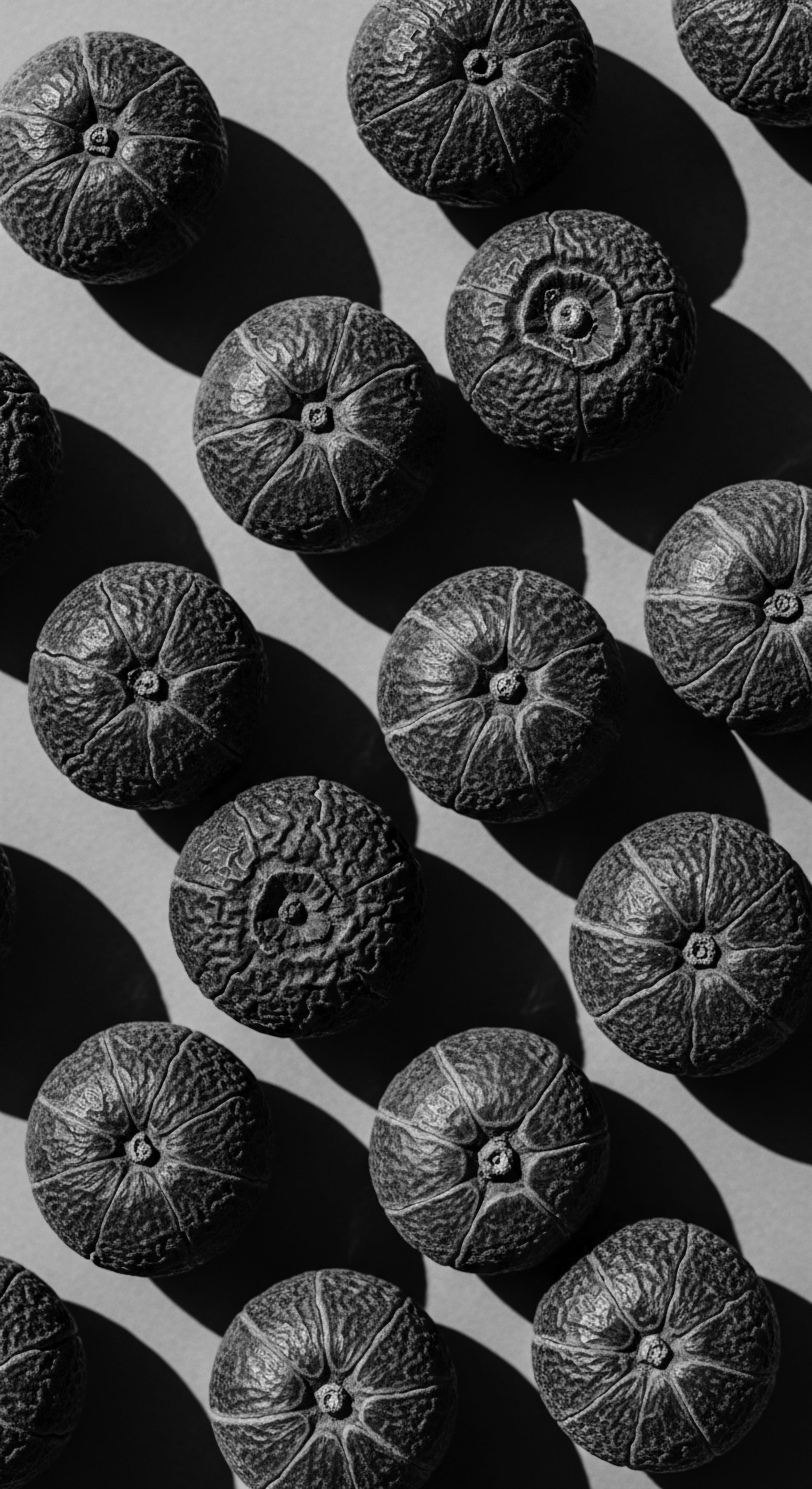 Textured Citrus Pattern Symbolic of Natural Hair Health and Heritage The intricate arrangement of textured citrus becomes a visual ode to the natural ingredients celebrated in ancestral hair rituals, reflecting a deep connection between the earth's bounty and the holistic well-being of textured hair within the context of expressive cultural identity.