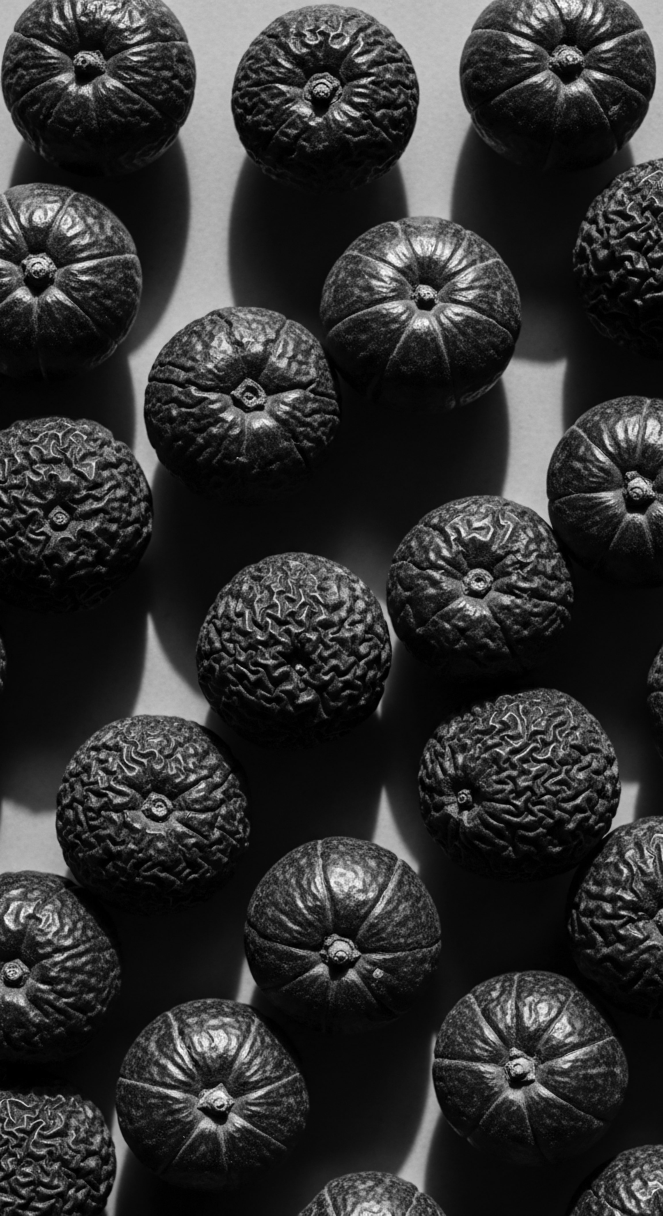 Textured Spheres Organic Hair Patterns B&W Botanical Study This study in textures invites contemplation on the intricate beauty and resilient nature of organic patterns found both in botanical forms and dense hair helixes, reflecting the interconnectedness of nature, ancestral heritage, and holistic hair care rituals.