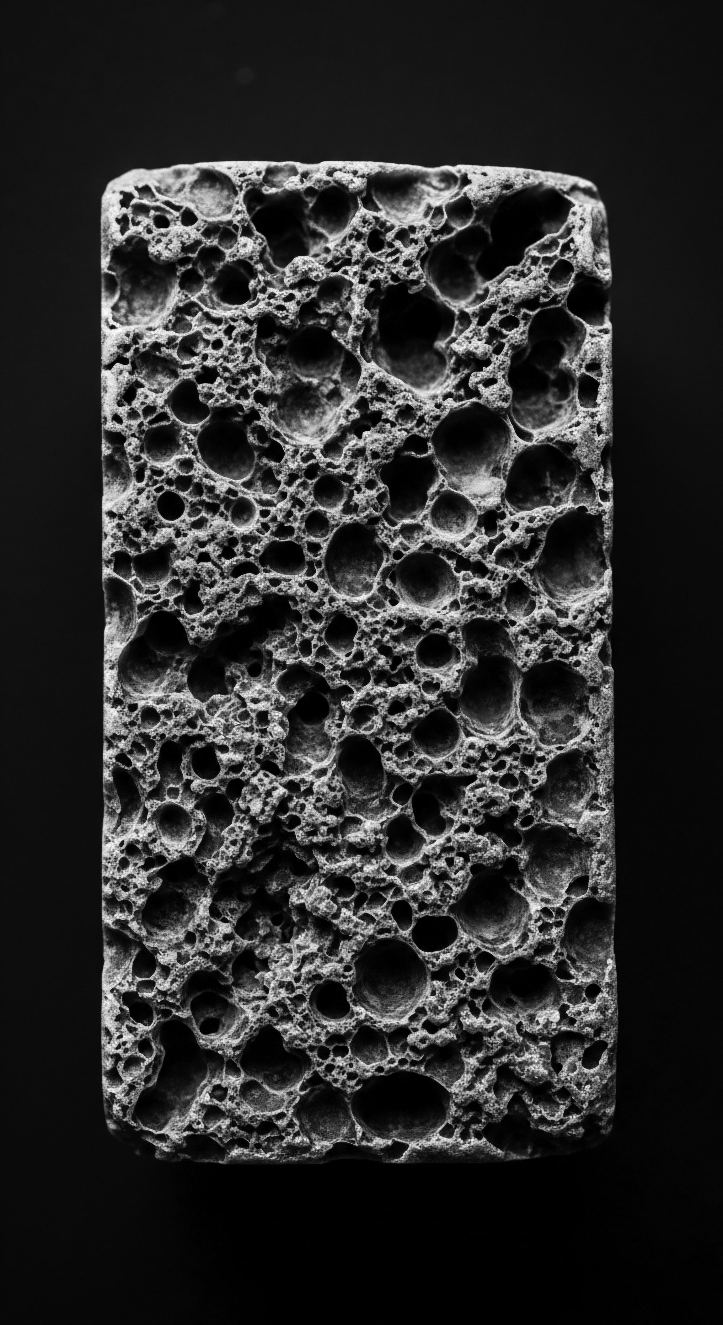 Textured Surface Detail Intricate Porous Structure Volcanic Rock Beauty Heritage The detailed porous surface evokes the inherent strength and resilience found in natural formations like volcanic rock, echoing the enduring beauty of tightly coiled hair textures maintained through generations of ancestral practices and holistic textured hair care methods.